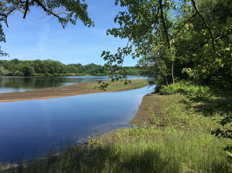 The shoreline of the Merrymeeting Park property that Brunswick hopes to conserve for public use.