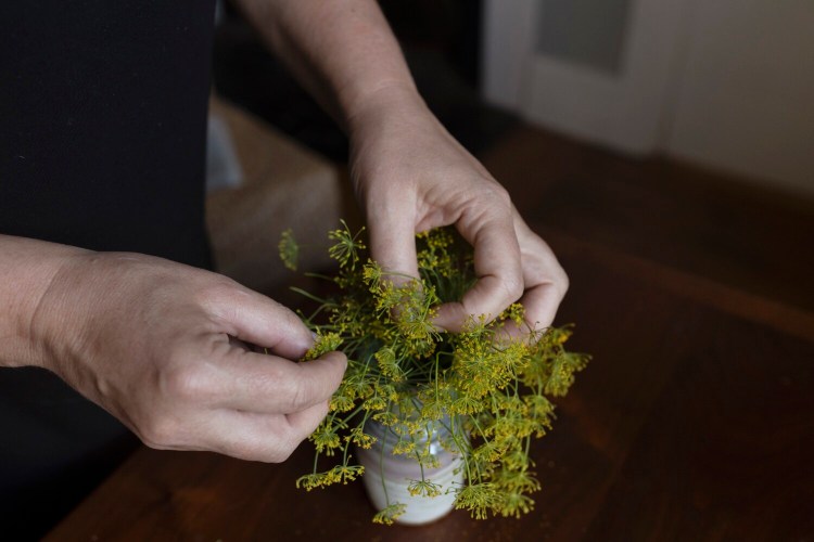 BRUNSWICK, ME - AUGUST 26: Christine Burns Rudalevige picks dill flowers to sprinkle on top of a mixed potato salad. (Staff photo by Brianna Soukup/Staff Photographer)