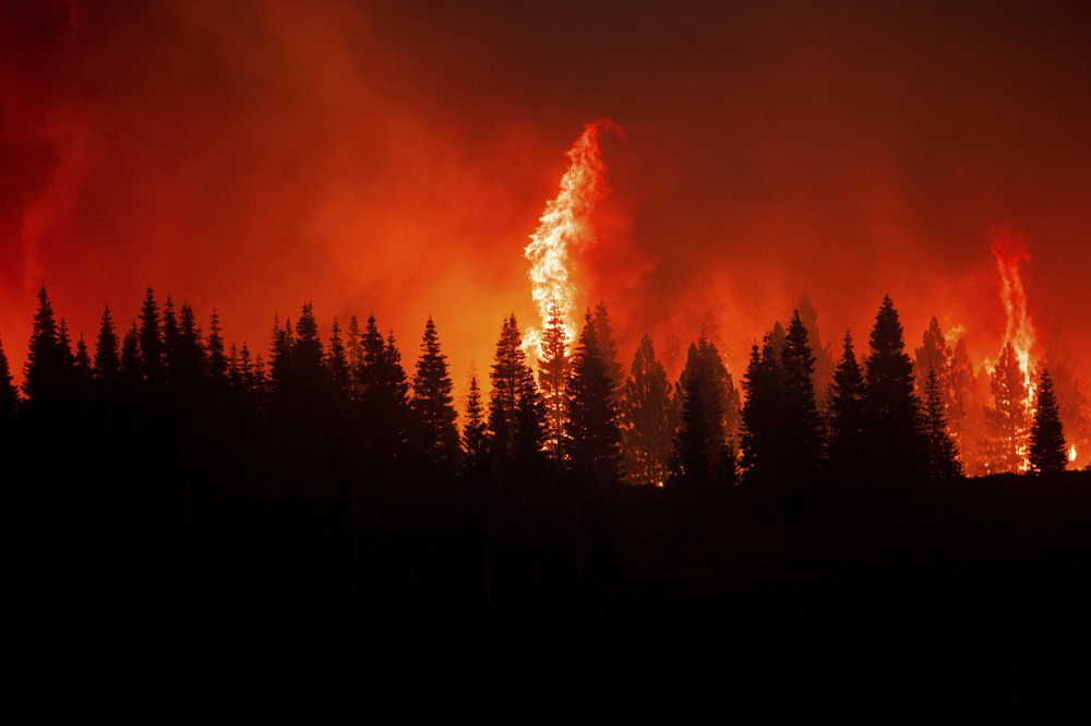 California Wildfires