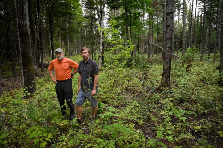 GREENVILLE, ME - AUGUST 19: Chuck Wagenheim, left, and Rodney Folsom with the Moosehead Trail Alliance hope to draw 60,000 mountain-bike enthusiasts a year to stimulate eco-tourism through a new 25-mile mountain bike trail system they plan to bulid in the Greenville area Thursday, August 19, 2021. (Staff Photo by Shawn Patrick Ouellette/Staff Photographer)