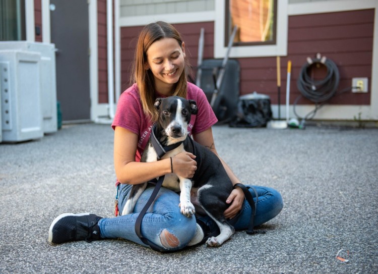 Clyde sits on Angela Poulin's lap om Monday. Poulin is the foster and feline coordinator at the Greater Androscggin Humane Society. Clyde came from a shelter that was evacuated before Hurricane Ida. Wings of Rescue coordinated the transportation.