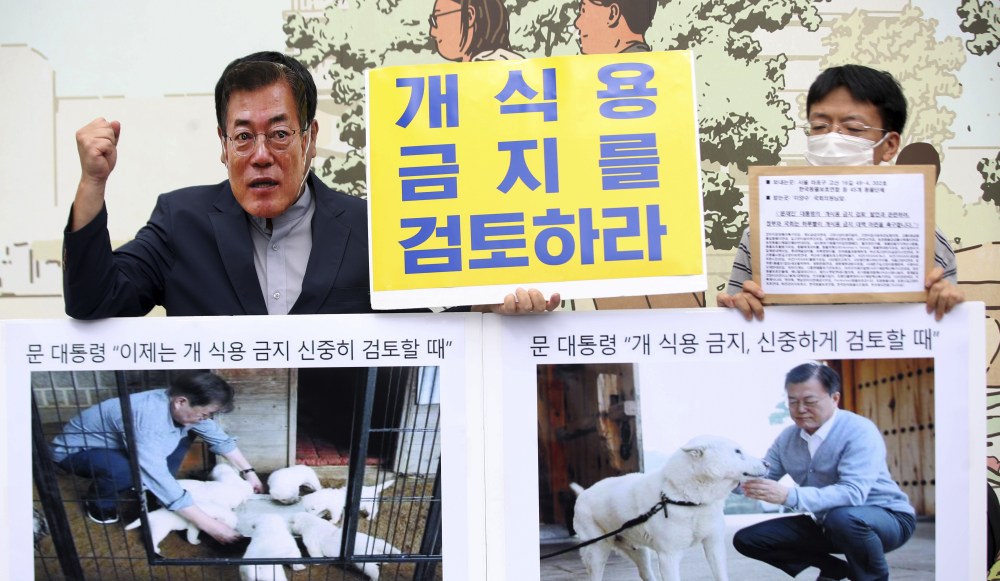 South Korea Dog Meat
