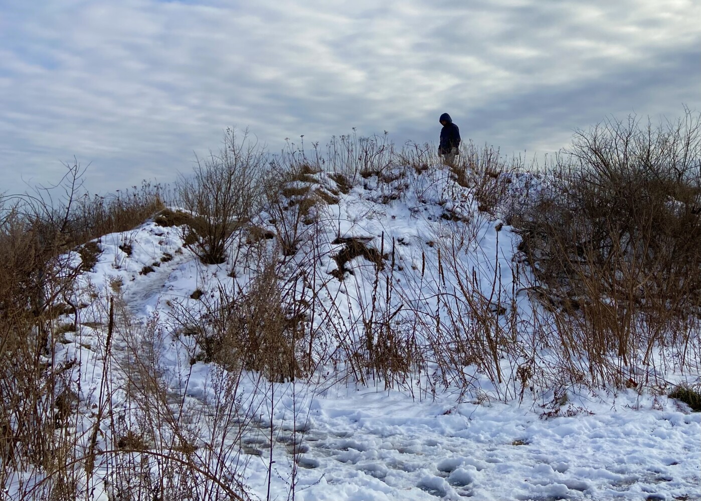 Berm at Fort Williams Park