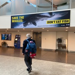 PETA sign at Jetport