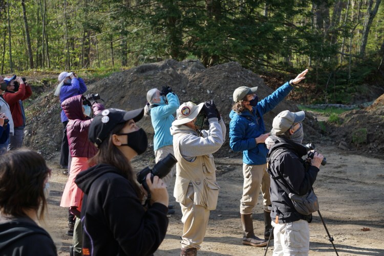 May 2021 Warbler Walks in Evergreen Cemetery in Portland, led by Doug Hitchcox and Nick Lund