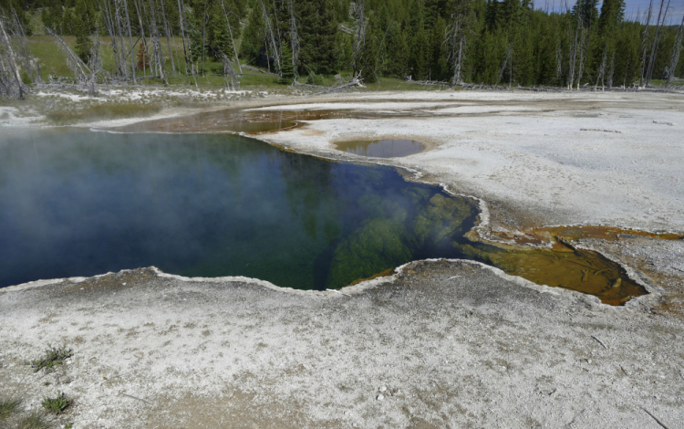 Yellowstone Hot Spring Foot Found