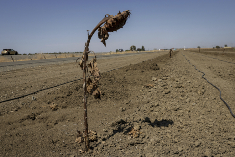 California Heat Wave