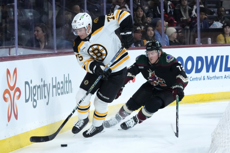 Bruins Coyotes Hockey