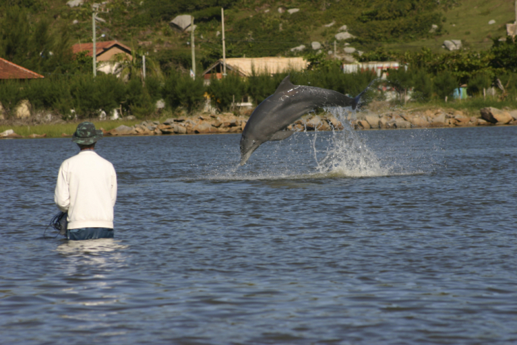 Brazil Dolphins Help Fishermen