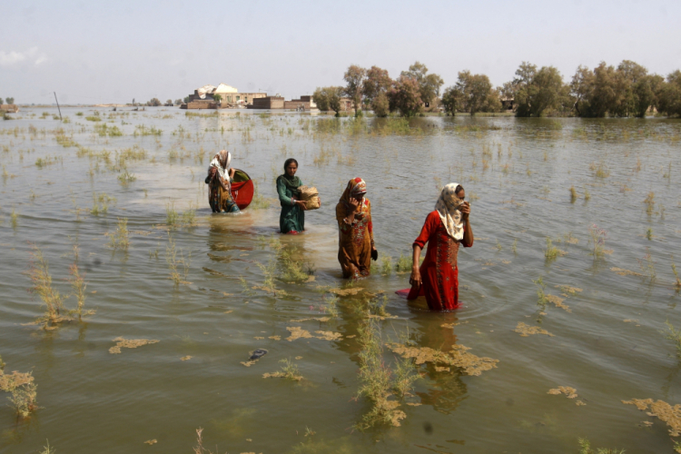 UN Climate Report