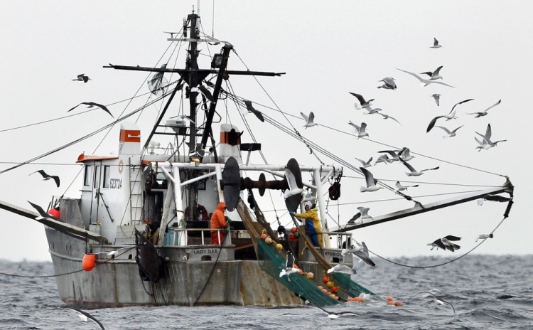 Supreme Court-Chevron-Fishing Monitors