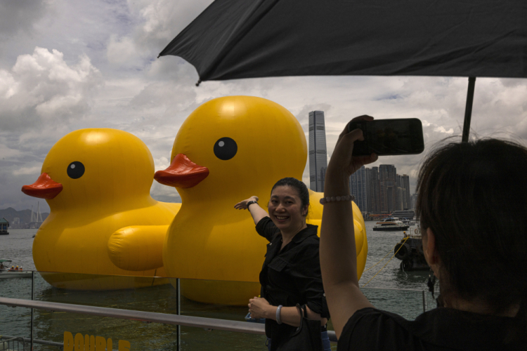 Hong Kong Giant Ducks