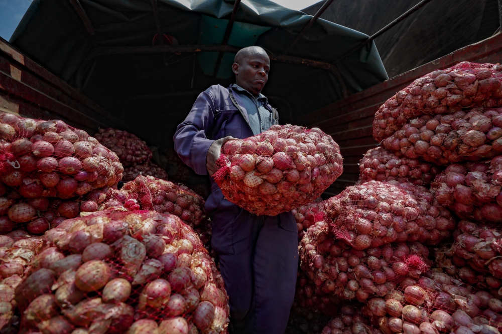 Food Security Export Restrictions
