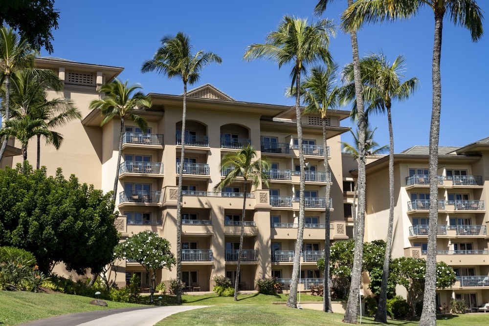 Hawaii Wildfire Tourists Return