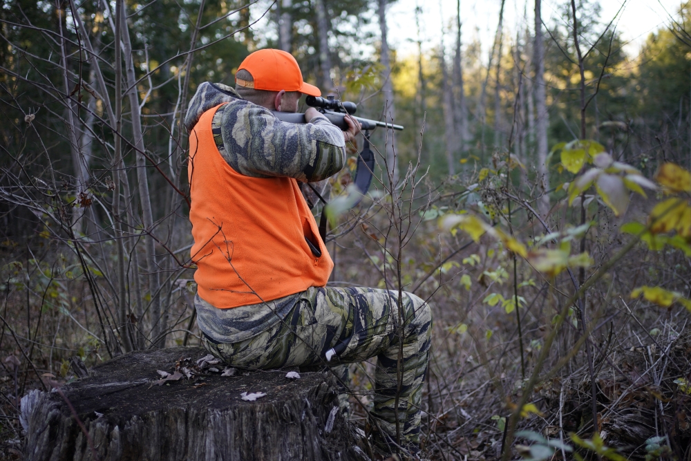 Sunday Hunting