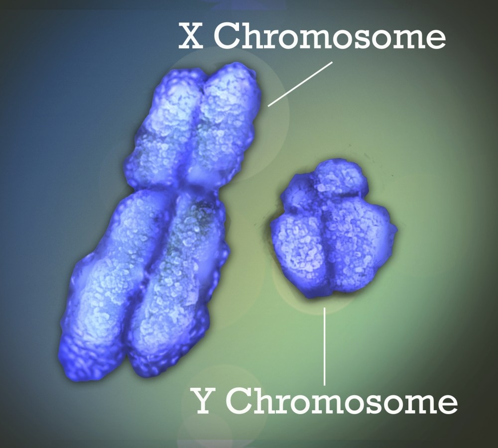 Autoimmune Diseases-Women