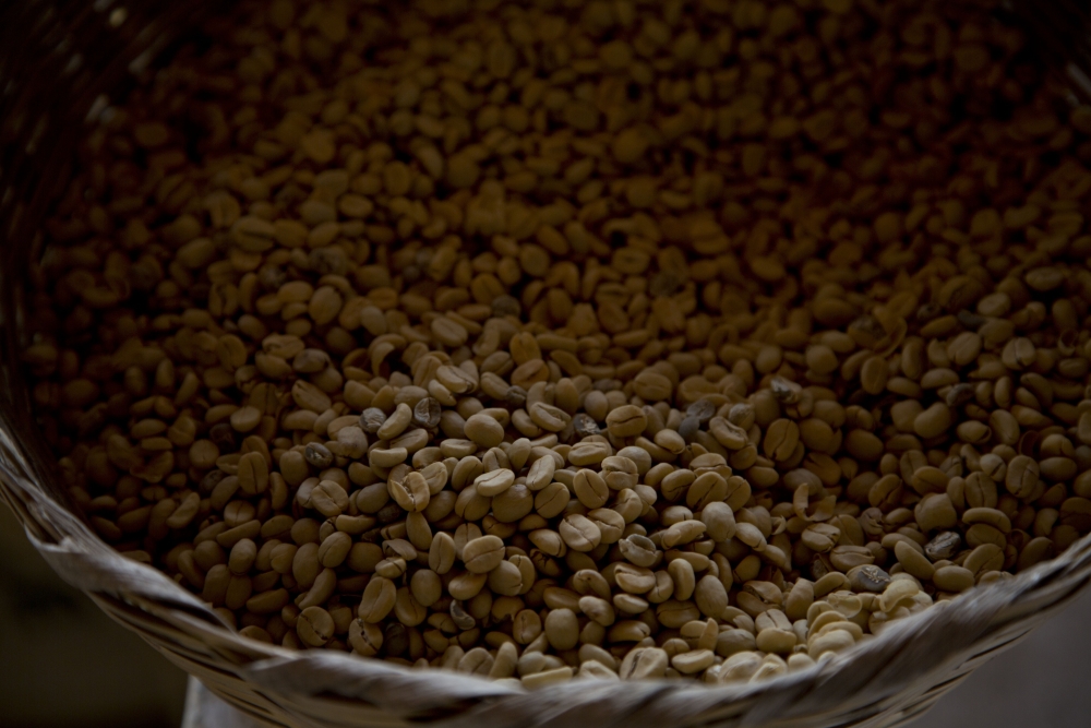Coffee History