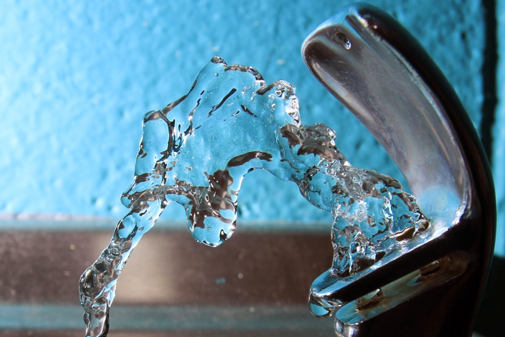 Fluoride Controversy