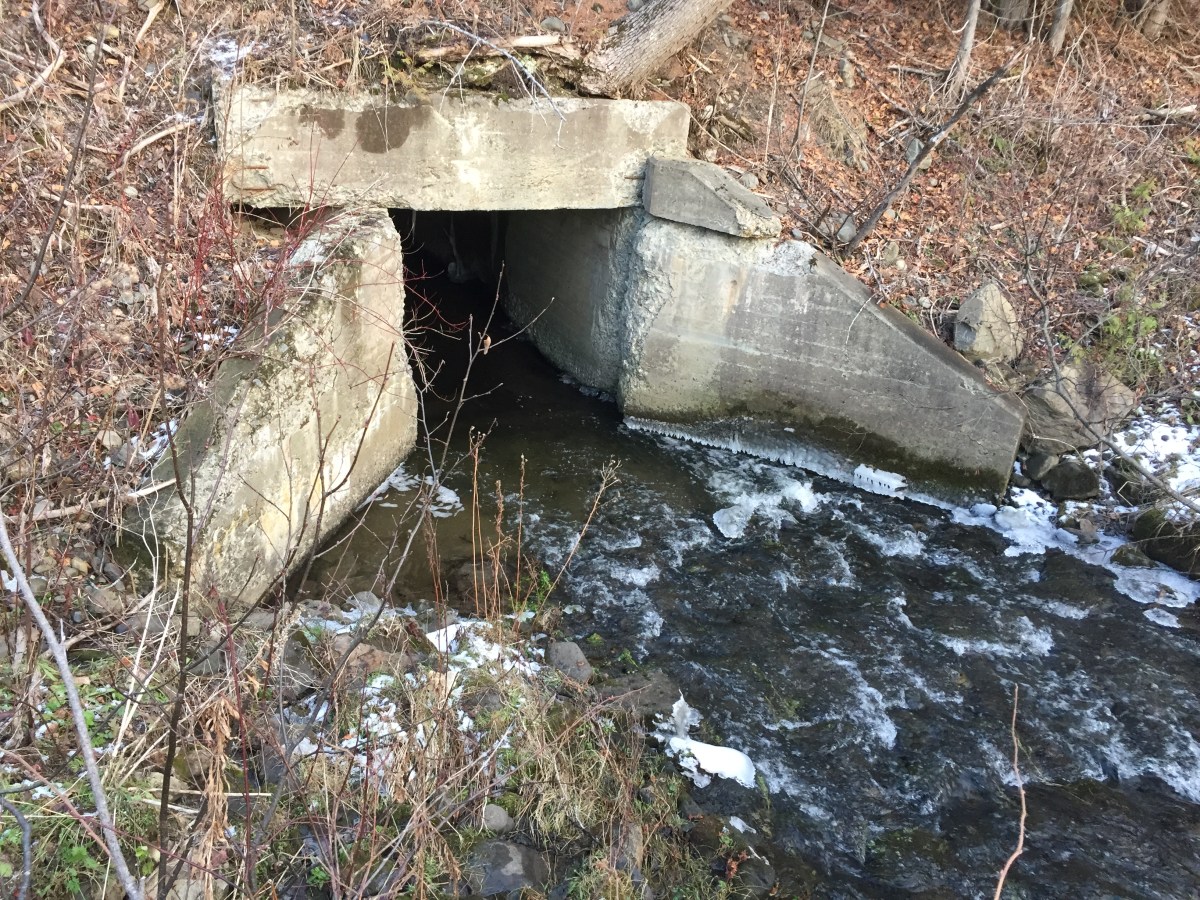 A concrete culvert running beneath Route 164 in Caribou will be upgraded using funds from a federal grant intended to help reduce car vs. wildlife collisions.